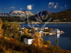 Woody Point & Gros Morne